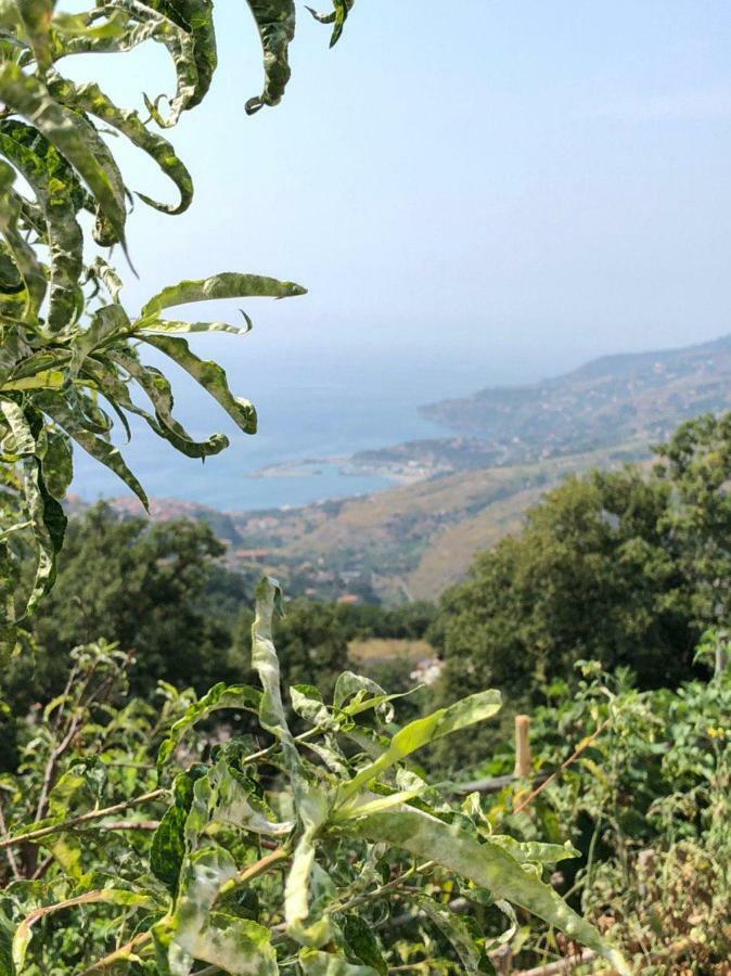 La Terrazza Di Carmen E Fausto Leilighet Cetraro Eksteriør bilde